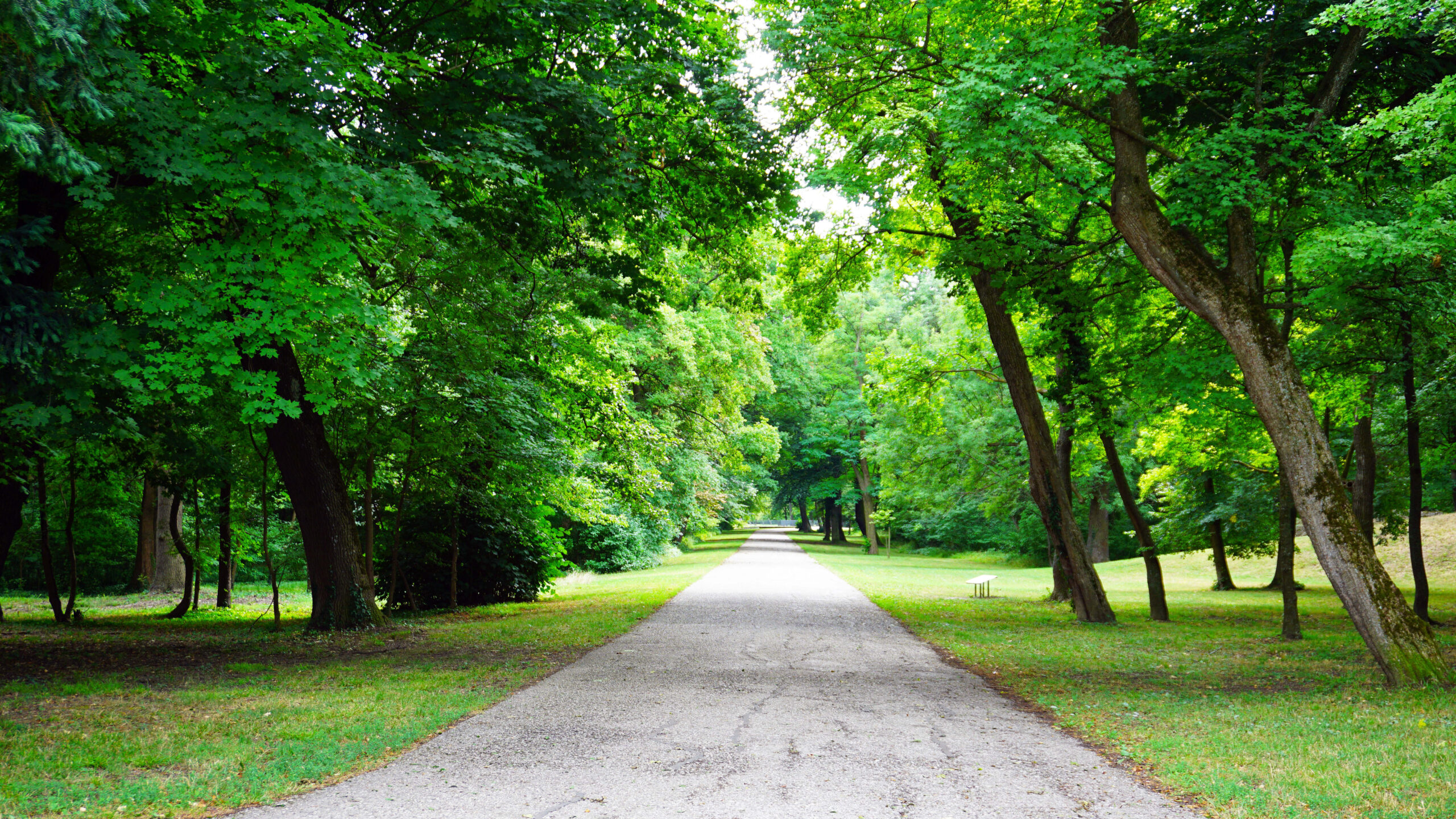 Wandertag Südpark